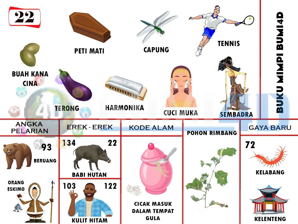 buku mimpi erek erek togel 22
